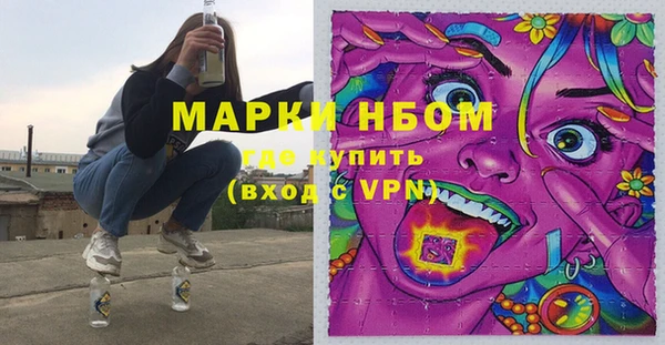 гашик Алексин
