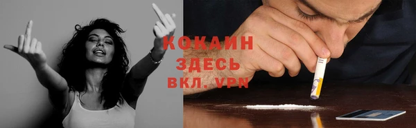 дживик Алзамай