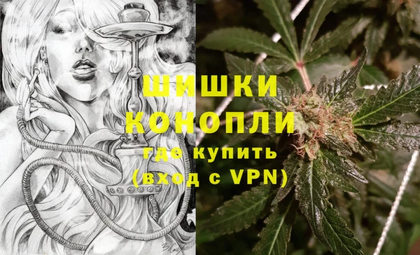 гашик Алексин