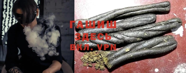 гашик Алексин