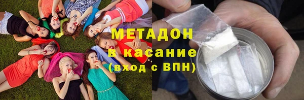 гашик Алексин