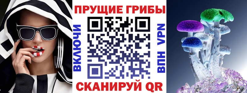 Псилоцибиновые грибы Psilocybe  Лихославль 